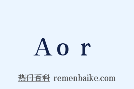 Aor是什么意思的图片